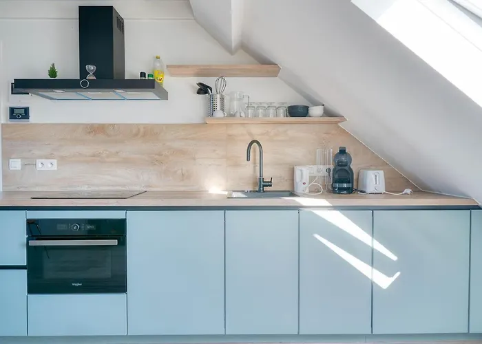 Bright Duplex Close To The 公寓 奥斯滕德